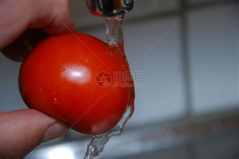 洗涤维他命用流水清洗番茄明亮的高清图片下载-正版图片307561010-摄图网