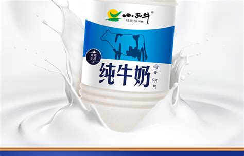 小西牛酸奶1kg×2桶装原味益生乳酸菌发酵孕妇儿童营养早餐青海_虎窝淘