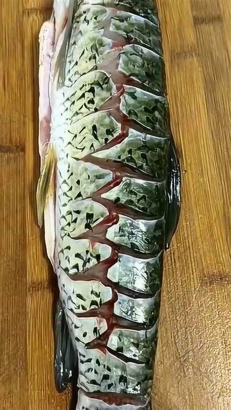 红烧鹦鹉鱼的做法_【图解】红烧鹦鹉鱼怎么做如何做好吃_红烧鹦鹉鱼家常做法大全_奋斗中的硬汉_豆果美食