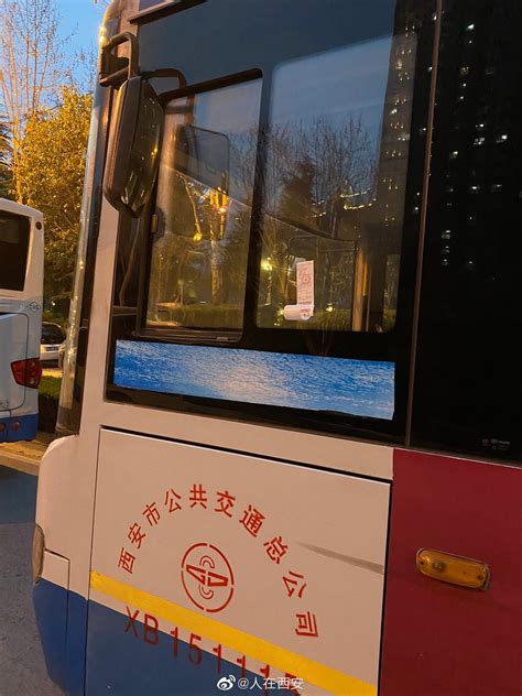 网友爆料：原来公交车也有违停，西安交警🐮 ，没有不敢贴的罚单|违停|罚单|西安_新浪新闻