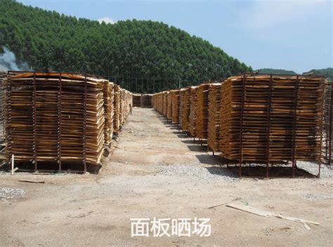 镇江建筑模板厂家 松木模板 - 八方资源网