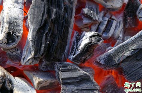 烧过的木炭能做花肥吗 木炭灰可以养哪些花-趣丁网