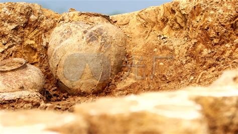 “山东百年百项重要考古发现”入选项目名单公示，青岛5个考古项目入选-青报网-青岛日报官网