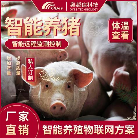 中国养猪信息|国内养猪资讯|养猪信息平台 - 猪好多网