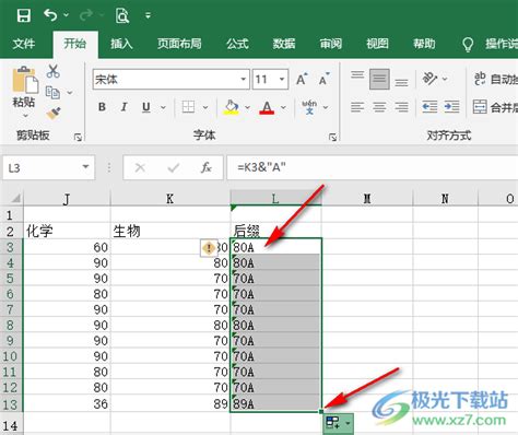 Excel如何批量添加后缀？-Excel批量添加后缀的方法 - 极光下载站