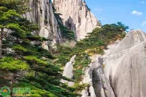 【携程攻略】安徽黄山风景区景点,三山之一果然名不虚传，有他的独特之处，爬山不算累 西海大峡谷算是…