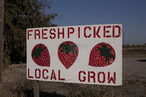 当地种植的草莓标志牌红色农产品里程美食摄影蓝色水果天空纸板食物高清图片下载-正版图片320692764-摄图网