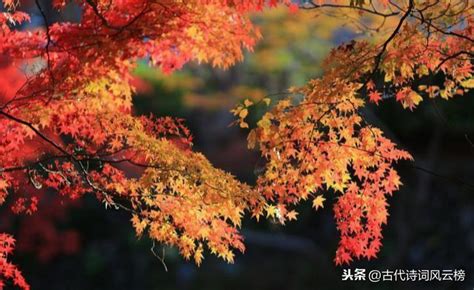 秋天的好句又短又好,描写秋天的简短好句,描写秋天的句子_大山谷图库