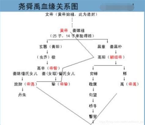 血缘关系图图片