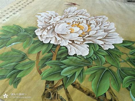 中国牡丹花画