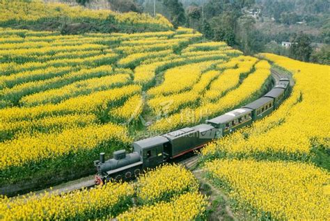 四川犍为：开往春天的“小火车”-人民图片网