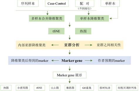 基因线路的模块化设计_深圳市圳诚科技有限公司