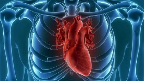 心律不齐的常见9种类型-复禾疾病百科
