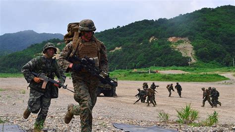 韩国陆军举行海岸哨所军事演习[图集]