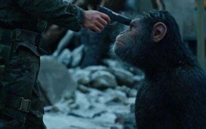 《猩球崛起3:终极之战》-高清电影-完整版在线观看