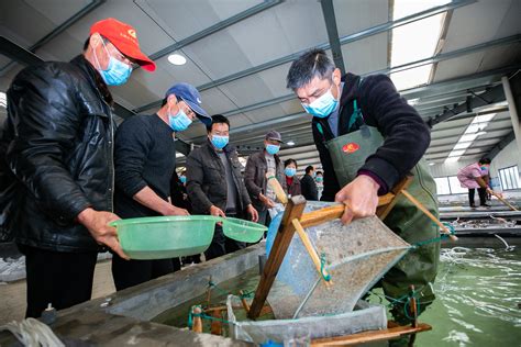省青禾科技服务团队水产健康养殖服务团队开展河蟹黄梅天管理培训