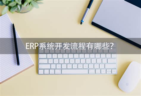 ERP系统开发日记（关键技术与经验） - CSDN文库