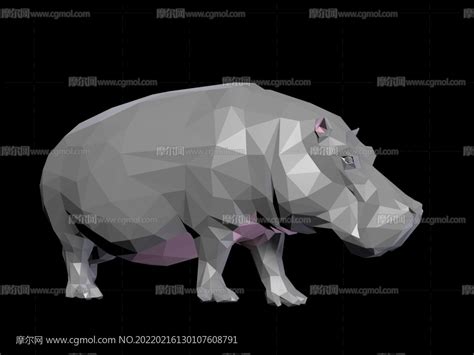 3D 动物折纸效果 水云居|纯艺术|绘画|koolgool - 原创作品 - 站酷 (ZCOOL)