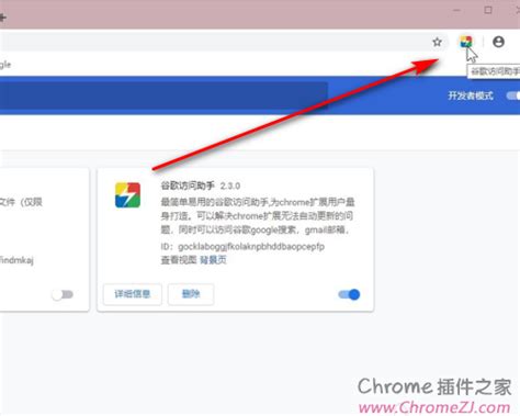 谷歌访问助手__chrome扩展插件下载_万能插件