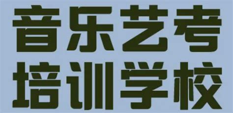 【十堰政府网】汉江师范学院举办2020新年音乐会-汉江师范学院-新闻网