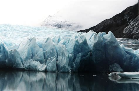 南极冰川以5500年来最快的速度失去冰|贝壳|海平面|冰川_新浪新闻