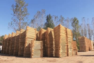 临颍县现代家居产业集聚区现有木材加工企业1000多家-中国木业网