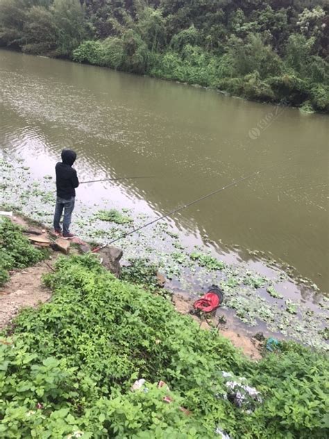 江门鹤山市免费钓场大全 - 钓鱼人