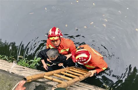 85岁阿婆一不小心掉河里 56岁儿媳忙喊救命跳下水-新闻中心-温州网