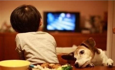 儿童看电视图片,儿童玩耍图片,儿童看电视_大山谷图库