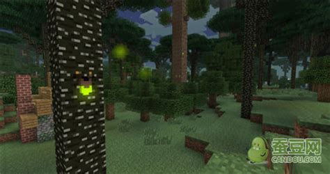 我的世界罕见又奇妙的森林 暮色魔法森林介绍_游戏狗