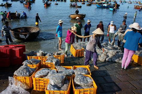 2023白沙湾海水浴场游玩攻略,美丽的浴场早市买海鲜早市上... 【去哪儿攻略】