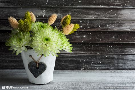 Damer 的图像结果