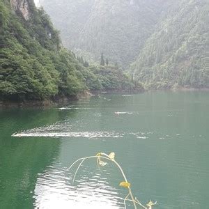 元洞水库钓鱼场_元洞水库钓鱼场地址_元洞水库钓鱼场电话 - 钓鱼之家