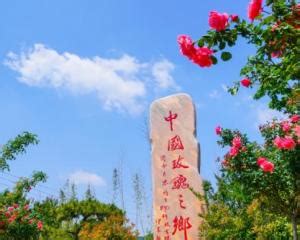【山东】平阴县举办2022年农民就业技能培训中药材（玫瑰）培训班