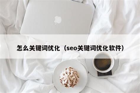 怎么关键词优化（seo关键词优化软件） - 恩派SEO