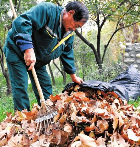 园林工人清理枯枝落叶 消除安全隐患美化环境-广水市人民政府门户网站