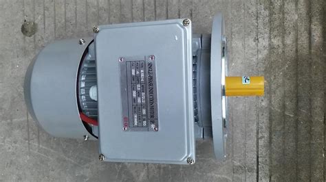 YL系列双值电容单相异步电动机 - 三相异步电机 - 丹东江城电机厂