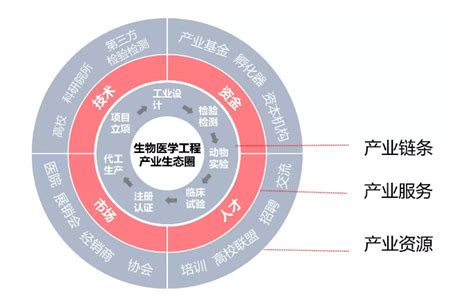 预见2021：《2021中国ERP软件产业全景图谱》(附市场规模、竞争格局、企业对比等)_行业研究报告 - 前瞻网