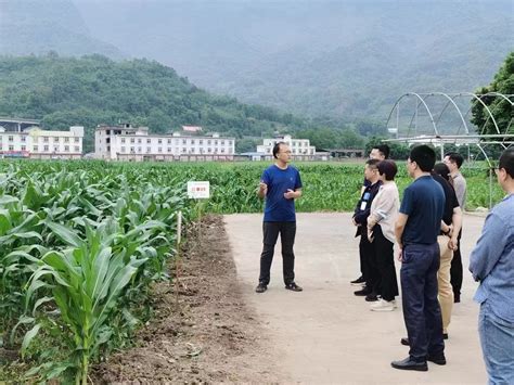 农业农村局：省厅领导来涟调研高标准农田建设工作
