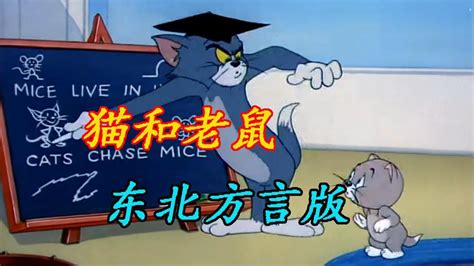 猫和老鼠东北方言版，傻猫带徒弟！_高清1080P在线观看平台_腾讯视频