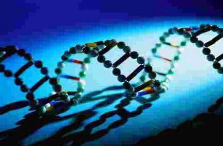 基因突变概述-遗传病生育网