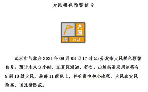 上海刚刚发布雷电、大风“双黄”预警！未来6小时出现9-11级雷雨大风