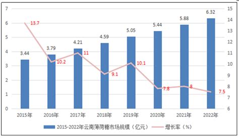 云南省在线旅游市场分析报告_2019-2025年中国云南省在线旅游行业深度研究与市场全景评估报告_中国产业研究报告网
