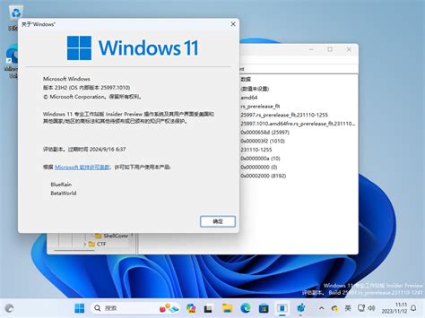 Windows 11:10.0.21343.fs_prerelease.210320-1910 - BetaWorld 百科