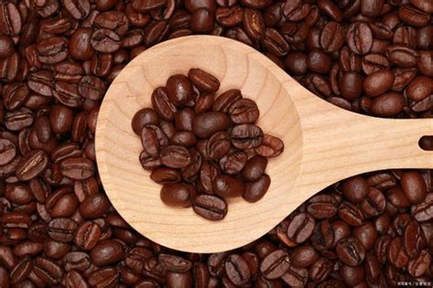 进口新产季咖啡生豆哥伦比亚慧兰colombia Huila生咖啡豆水洗单品
