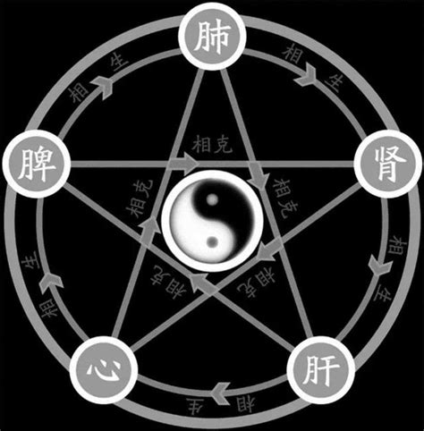 火凤凰按阴阳五行之说_[标签:标题1]