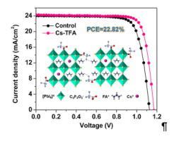 三氟乙酸铯诱导晶粒生长和缺陷钝化对高性能钙钛矿太阳能电池的协同作用,Chemical Engineering Journal - X-MOL