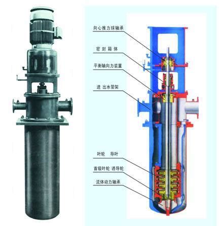 Vertical Multistage Barrel Condensate Pump (LDTN)