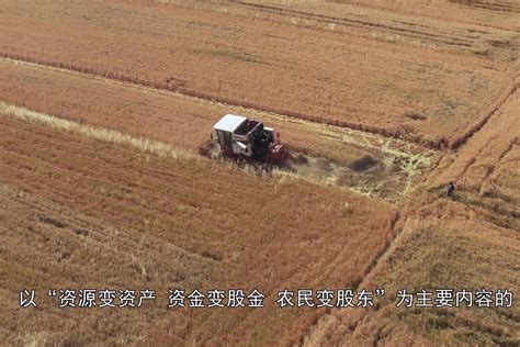 农业专家查看农田—高清视频下载、购买_视觉中国视频素材中心