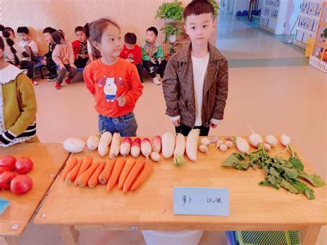 丰收采摘忙，萌娃卖菜欢 ——县第一幼儿园开展蔬菜义卖主题活动 - 教育管理云平台